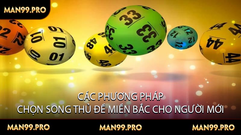 Các Phương Pháp Chọn Song Thủ Đề Miền Bắc Cho Người Mới