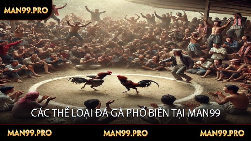 Các thể loại đá gà phổ biến tại Man99